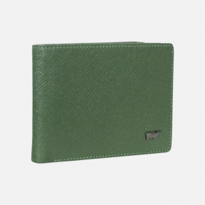 Braun Buffel maks, Robin zaļš