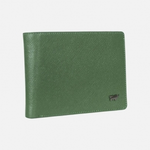 Braun Buffel maks, Robin zaļš